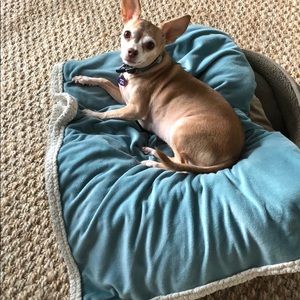 Meet your Posher, Deborah